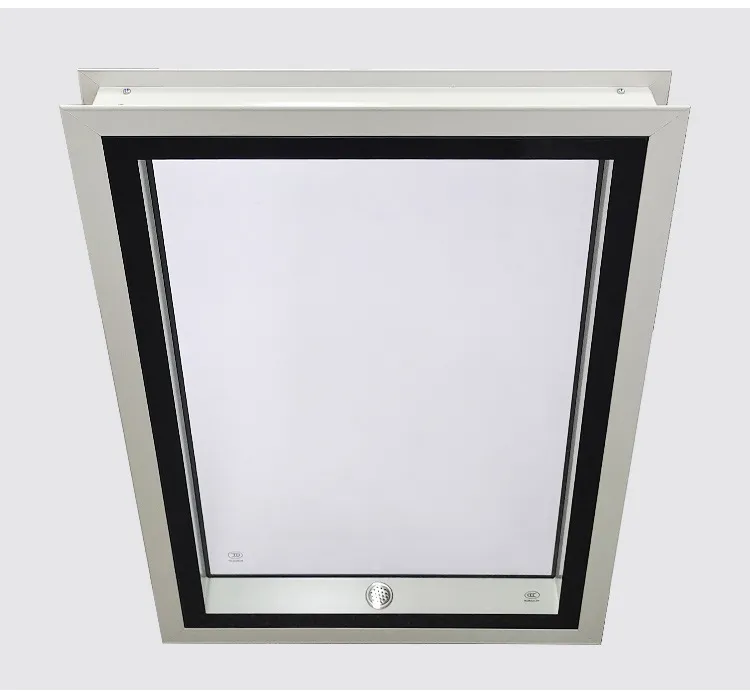 Cleanroom Windows