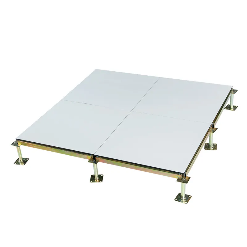 Custom Anti-Static Raised Floor