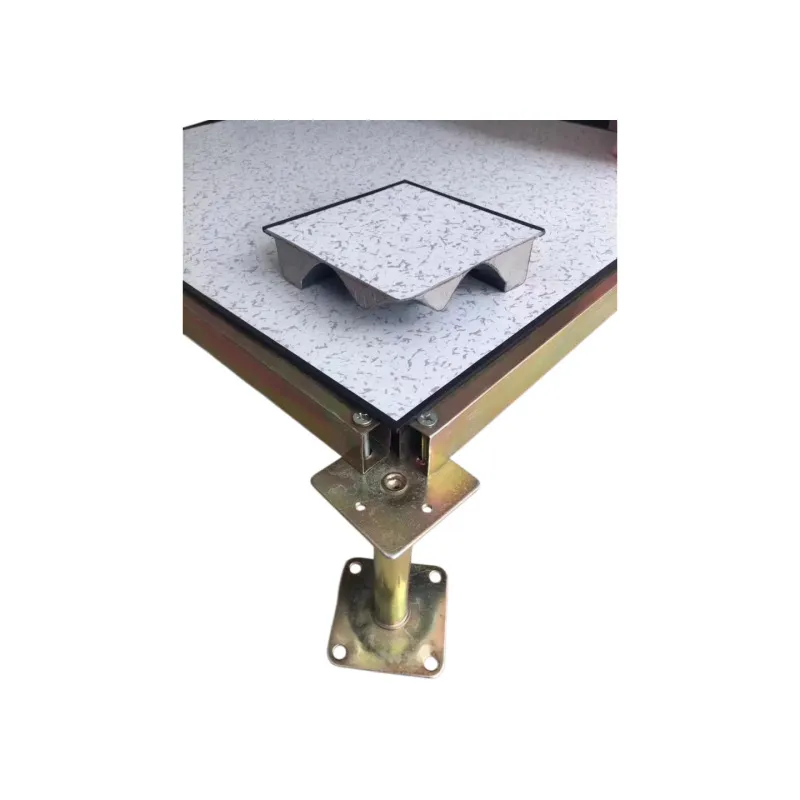 Custom Anti-Static Raised Floor