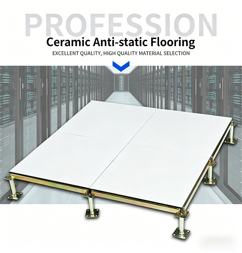 Custom Anti-Static Raised Floor