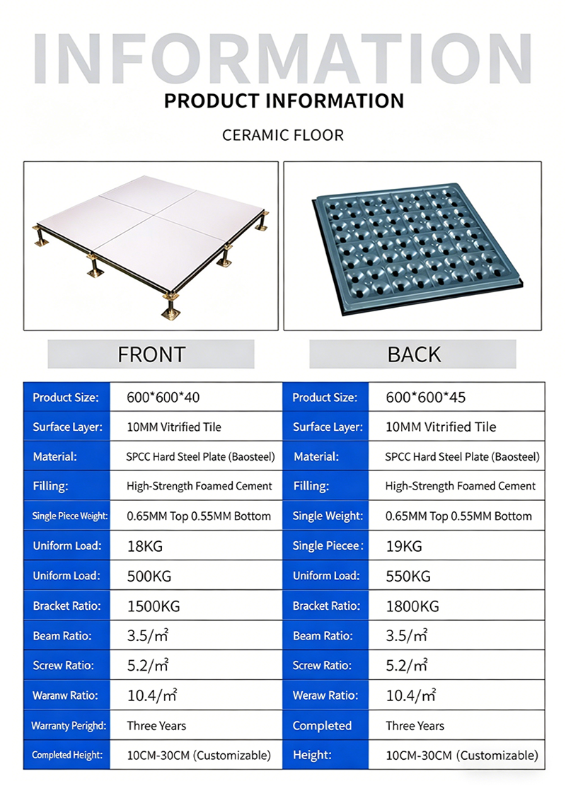 Custom Anti-Static Raised Floor