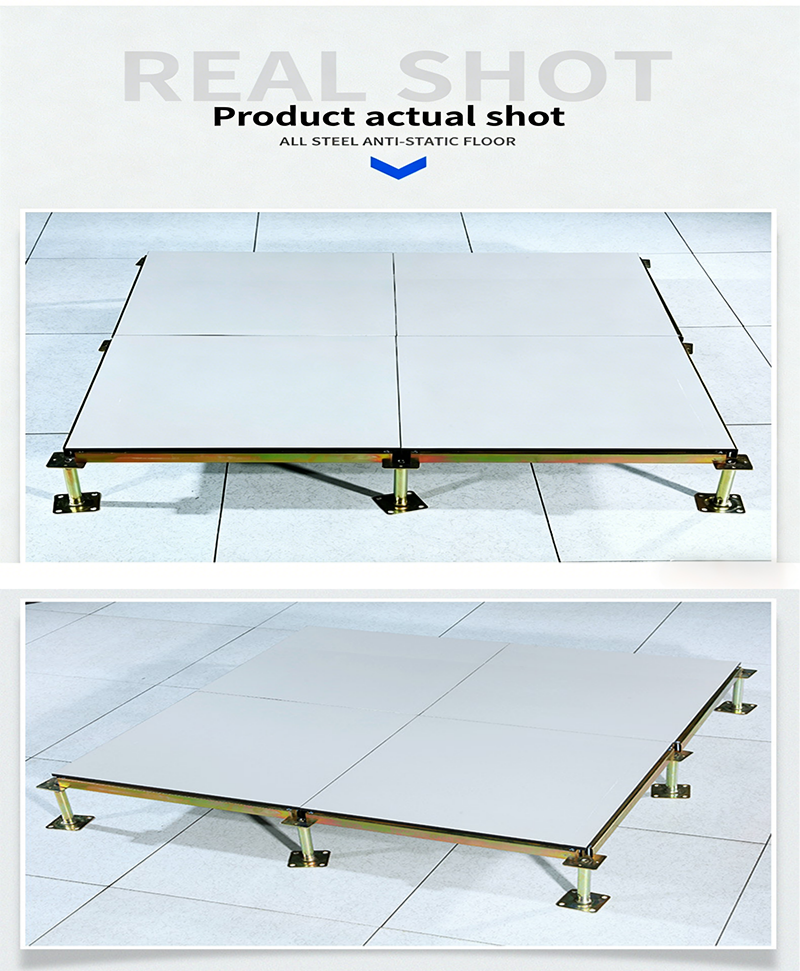 Custom Anti-Static Raised Floor