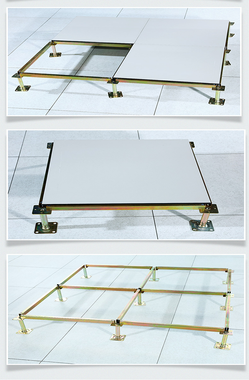 Custom Anti-Static Raised Floor