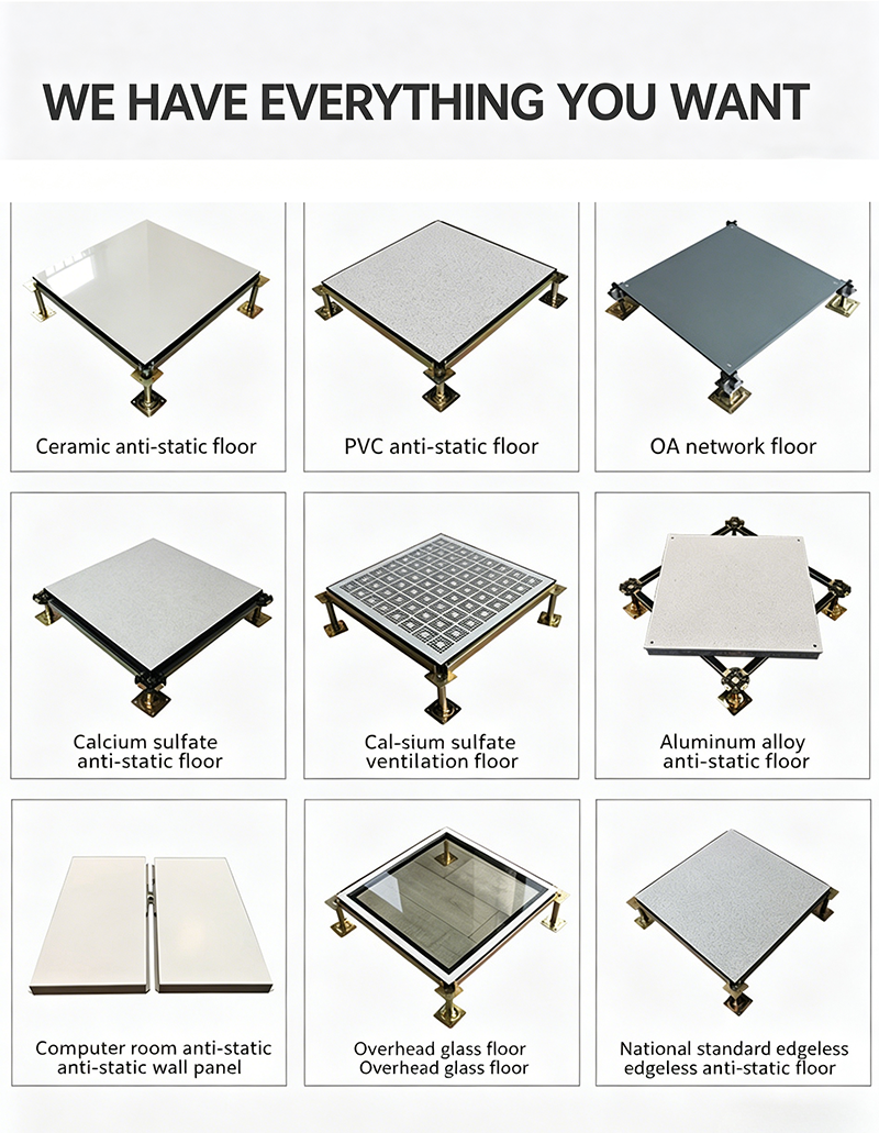 Custom Anti-Static Raised Floor